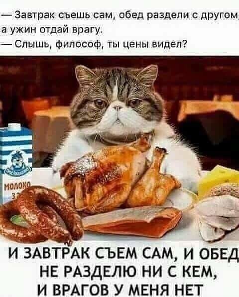 Веселые анекдоты 