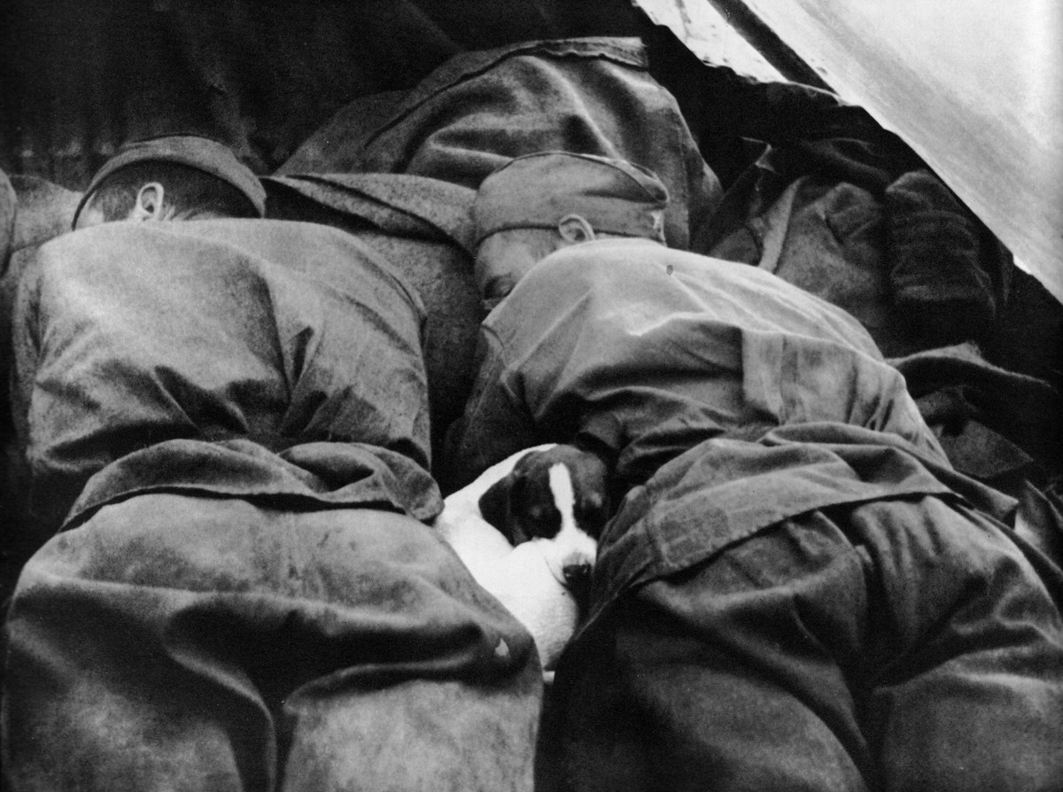 фронт и тыл Великой Отечественной на снимках советских военных фотографов lipskerov 1200 4
