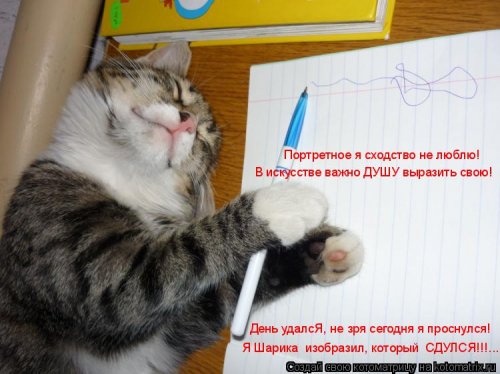 Новая котоматрица (21 фото)