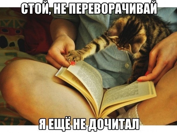 Пробка - это дураки и дороги в одном месте                           
