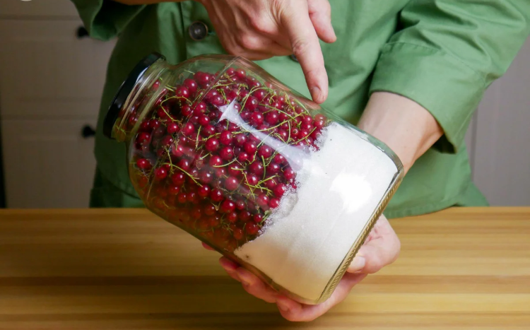 Заготавливаю желе из красной смородины, не снимая с веточек: просто и вкусно