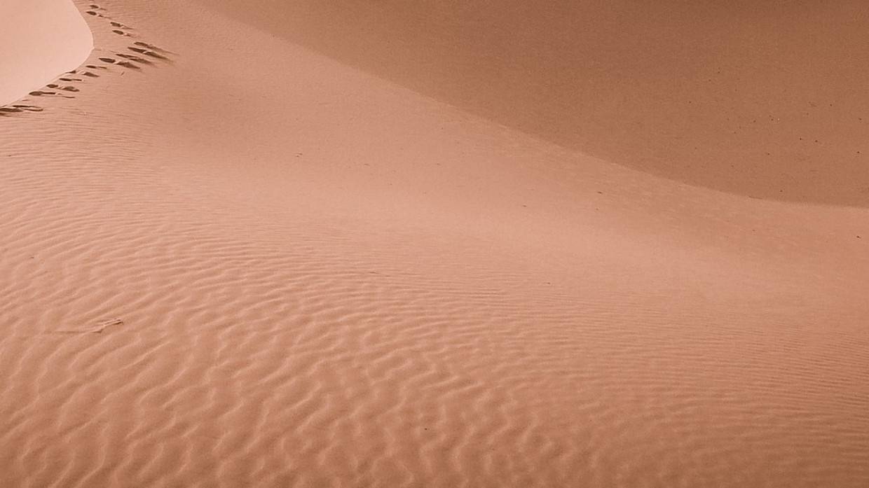 Сахалинские спасатели вытащили африканских туристов из «песка-убийцы» на мысе Ламанон