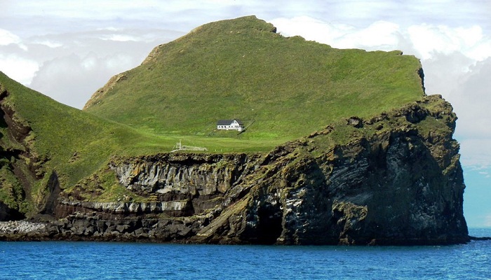 Интригующая история одинокого дома на необитаемом острове Исландии архитектура,дом на острове,животные,Исландия,остров,птицы