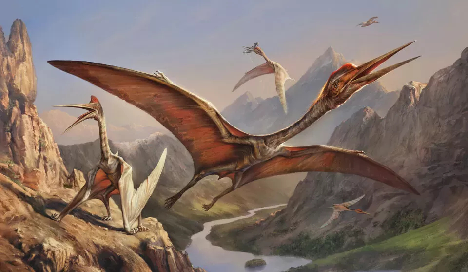 Археологи нашли останки птерозавра, жившего 170 млн лет назад