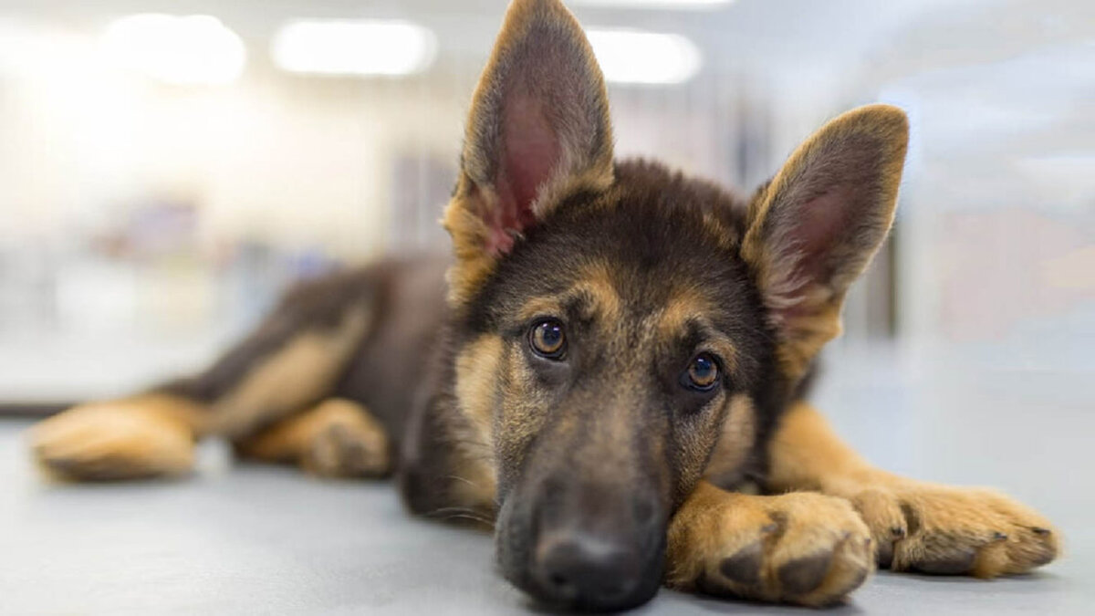 Там тебе будет хорошо