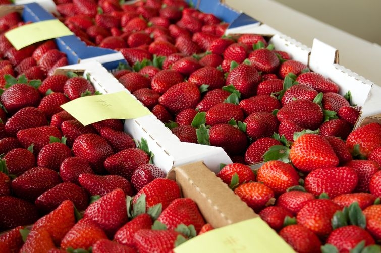 весенние продукты, сезонные продукты
