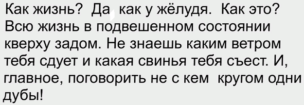 Замечание иностранца после поездки в российскую глубинку: "Люди там настолько бедные, что перстни рисуют ручкой на пальцах 