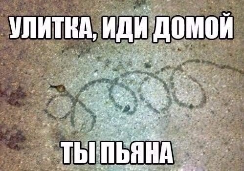 Пробка - это дураки и дороги в одном месте