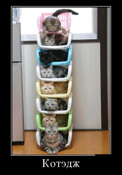 Подборка демотиваторов с черноватым юмором Подборка демотиваторов с черноватым юмором