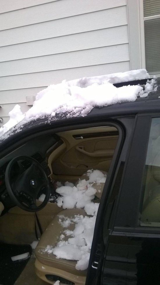 Фотоподборка субботы юмор