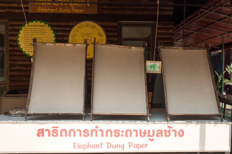 Бумаг из слоновьего помёта, Таиланд