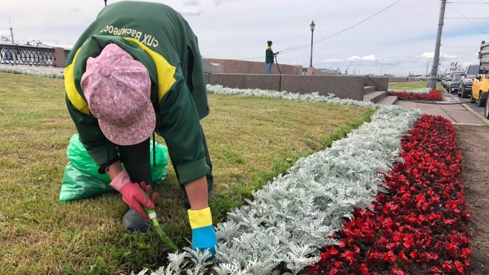 Урбанист рассказал, как россияне могут повлиять на благоустройство городов