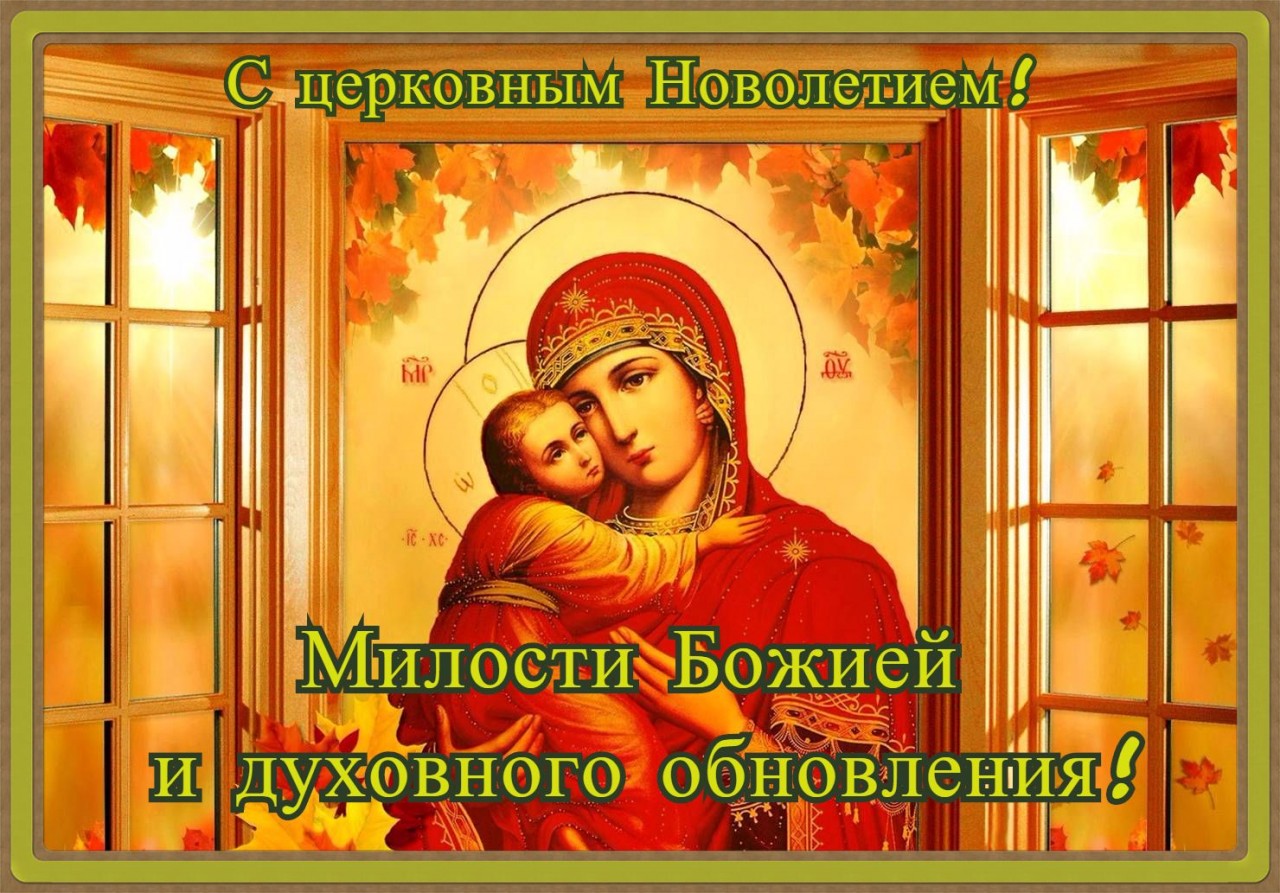 Жирафик, картинки 14 сентября