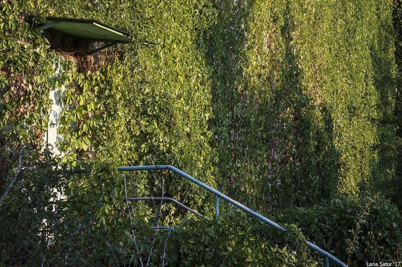 Заросший пионерский лагерь в Крыму Заросший пионерский лагерь в Крыму самостоятельные путешествия,туризм