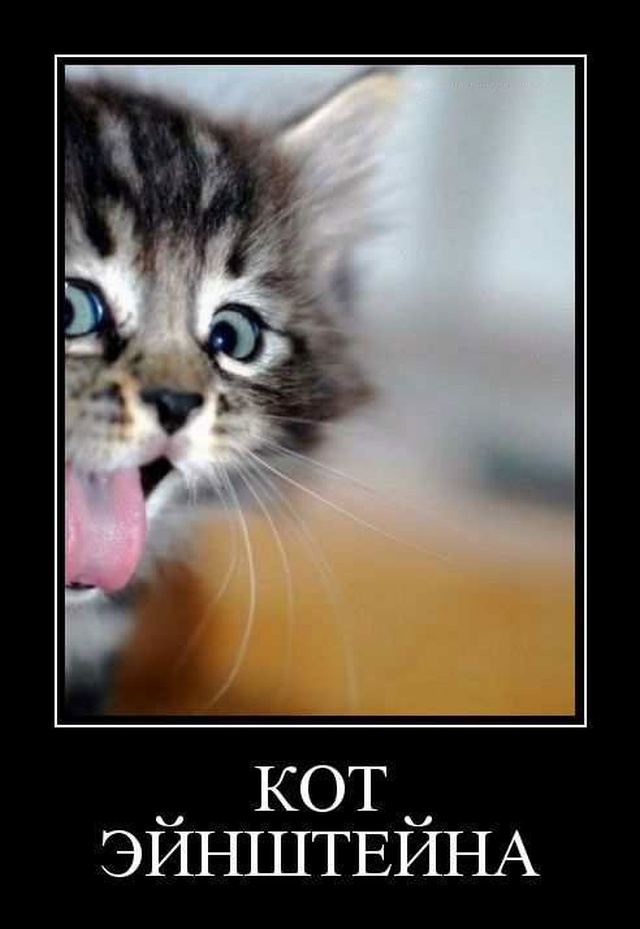 Милая, тебе снятся эротические сны?