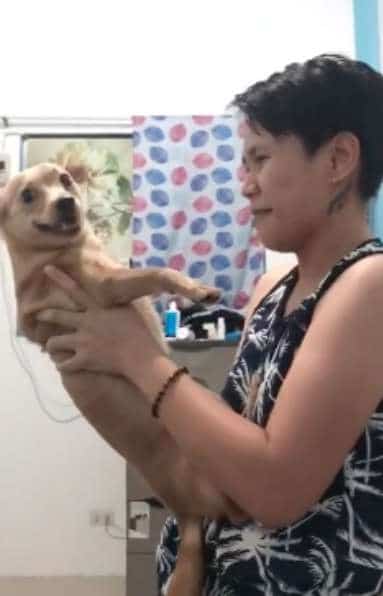 девушка с собакой