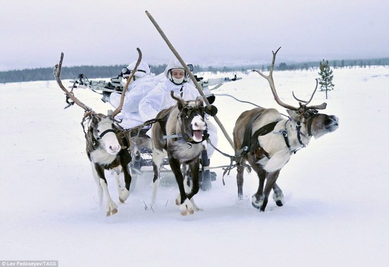 Север наш!