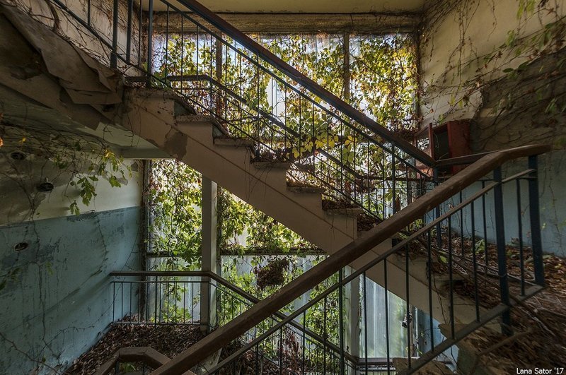 Заросший пионерский лагерь в Крыму Заросший пионерский лагерь в Крыму самостоятельные путешествия,туризм