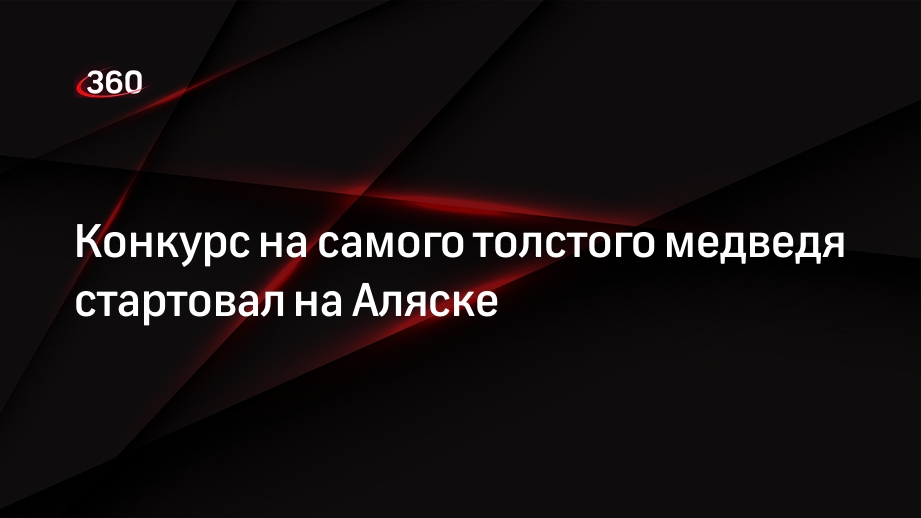 Пользователи Сети выберут самого толстого медведя Аляски в рамказ конкурса Fat Bear Week