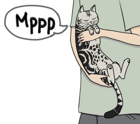 Как живут вместе социофоб и пофигист: 10+ смешных комиксов 