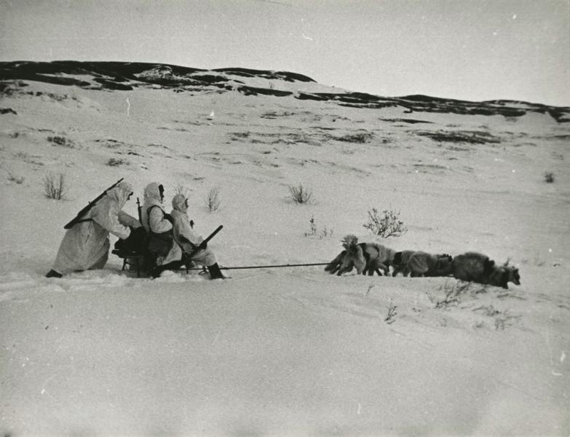 фронт и тыл Великой Отечественной на снимках советских военных фотографов shimanskiy 800 5