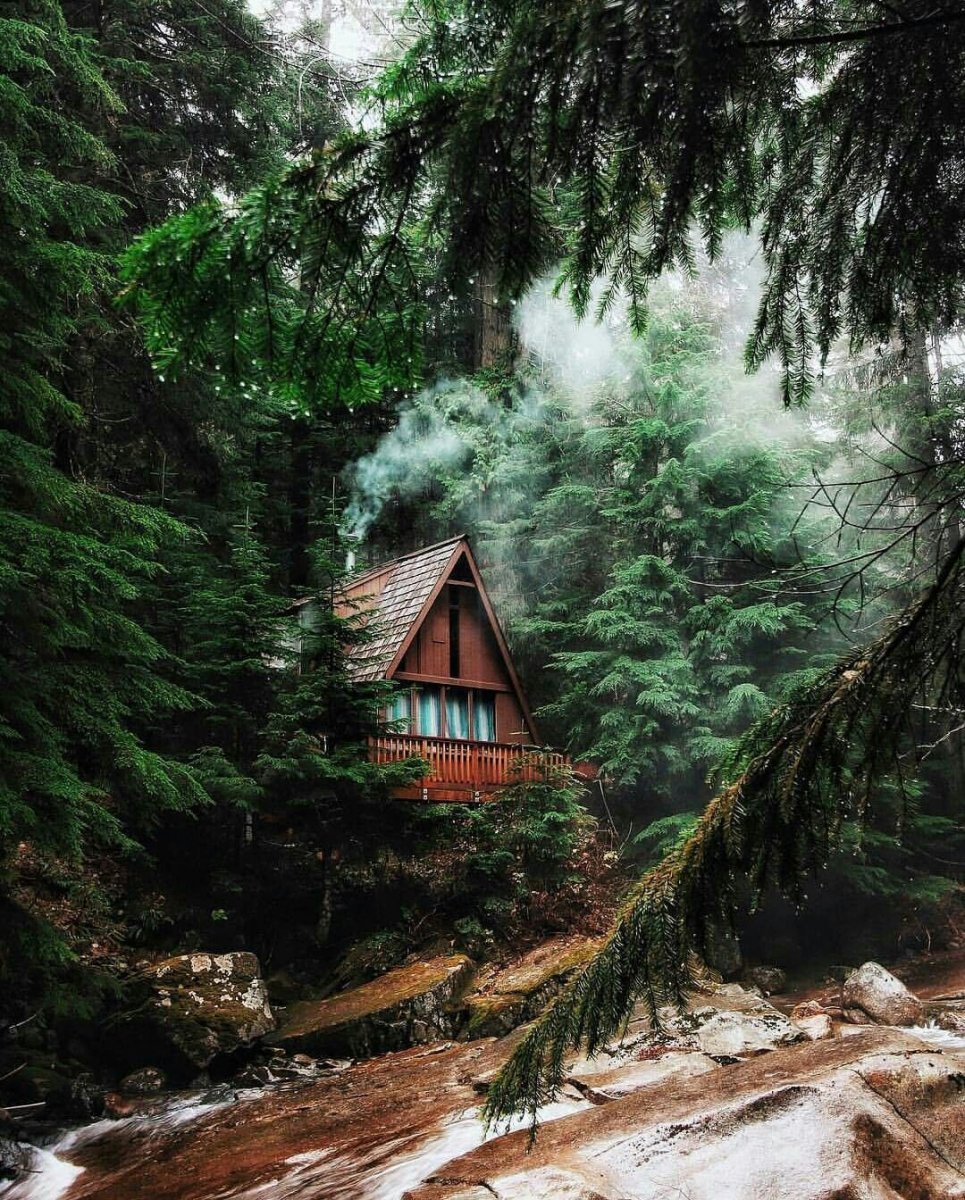 Картинки дом в лесу7