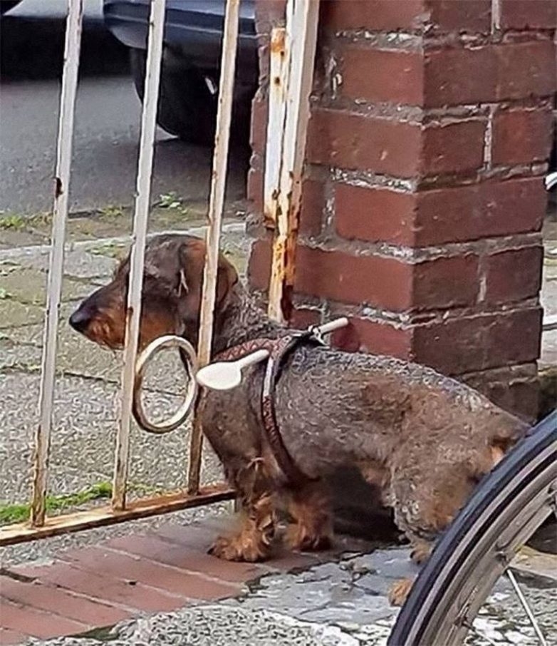 22 полезных лайфхака, которые вас точно разеселят 