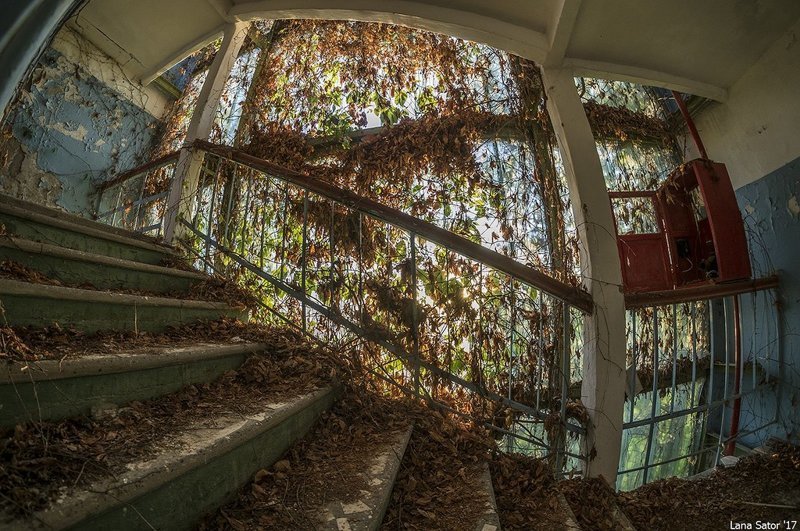 Заросший пионерский лагерь в Крыму Заросший пионерский лагерь в Крыму самостоятельные путешествия,туризм