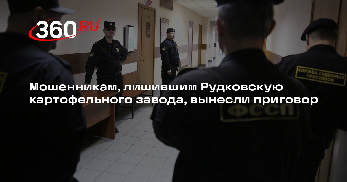 Мошенникам, лишившим Рудковскую картофельного завода, вынесли приговор