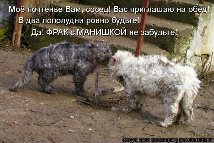 Мысли вслух :)