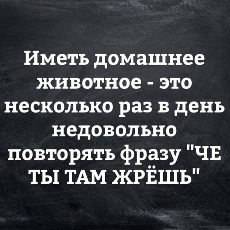 18 уморительных приколов от реальных людей 18 уморительных приколов от реальных людей