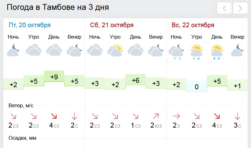 Погода в тамбове сегодня сейчас 2024