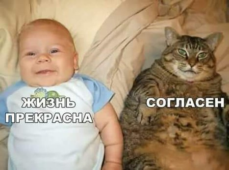 bd9ae16142ae329addd80850eb6a3837 (467x348, 101Kb)