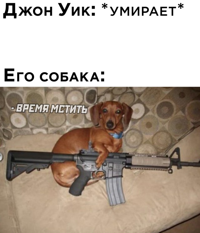 Подборка смешных картинок. Вечерний выпуск Подборка смешных картинок. Вечерний выпуск приколы,смешные картинки,юмор