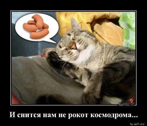 Демотиваторы для хорошего настроения Демотиваторы для хорошего настроения демотиваторы