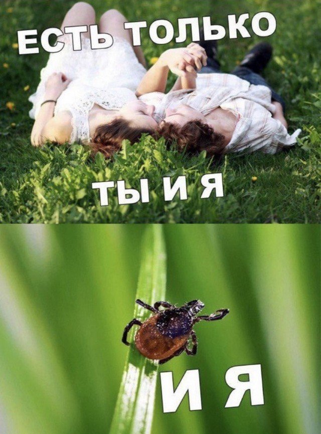 Шутки и мемы из Сети Шутки и мемы из Сети