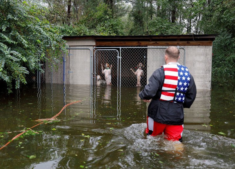 Волонтер спас собак, которые чуть не погибли от наводнения после урагана «Флоренс» видео, животные, собака, собаки, спасение, сша, ураган