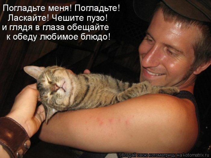 Мысли вслух :)