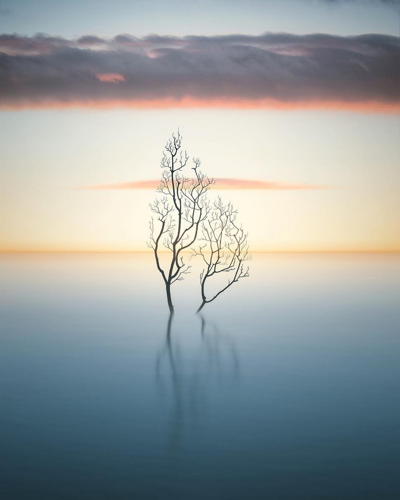   Hasselblad Masters Award    
