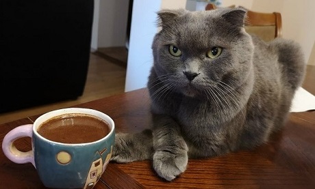 Дана и Моисей