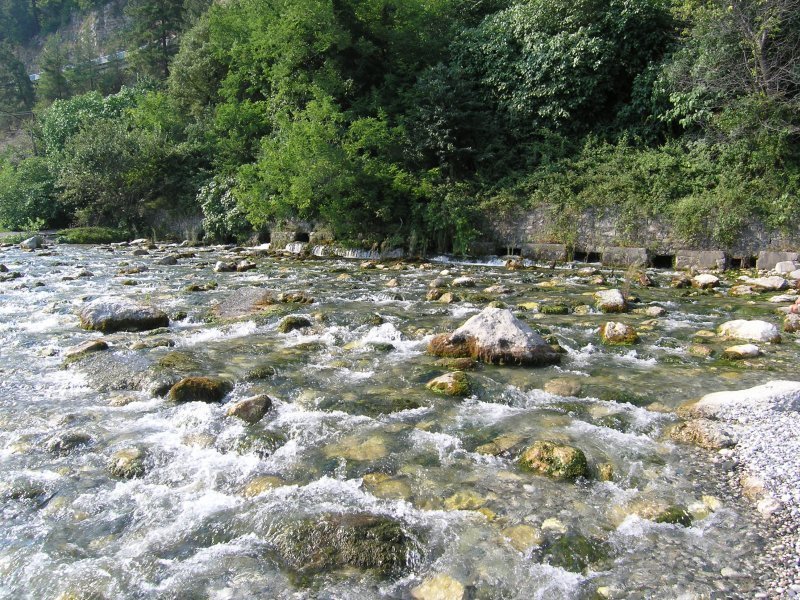 Пройти вдоль за несколько минут: где находятся самые короткие реки в мире Путешествия,фото