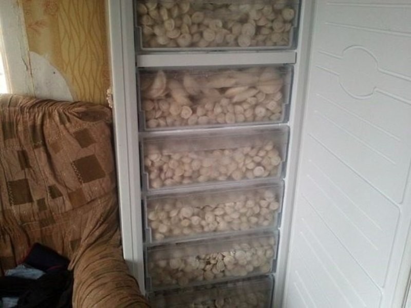 14. Холодильник сильного и независимого мужчины смешно, фото, холодильник