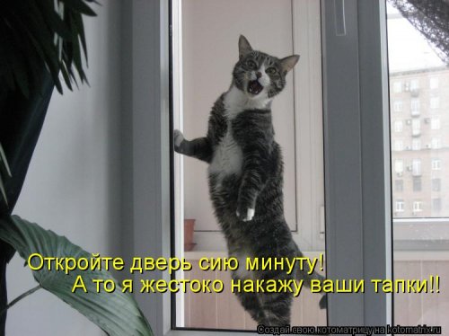 Новая котоматрица Новая котоматрица