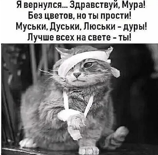 Я сейчас настолько злая, что если на меня налетит стая чихуахуа, я их перегавкаю Я сейчас настолько злая, что если на меня налетит стая чихуахуа, я их перегавкаю только, настолько, каждый, приходит, понял, грешу, колокольчик, когда, чтобы, больше, конечно, говорит, фермер, очень, суровы, будет, вообще, своей, видит, работу