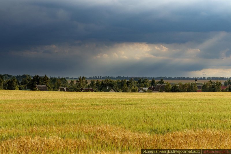 Белорусские просторы белорусия, путешествия, репортаж, фото