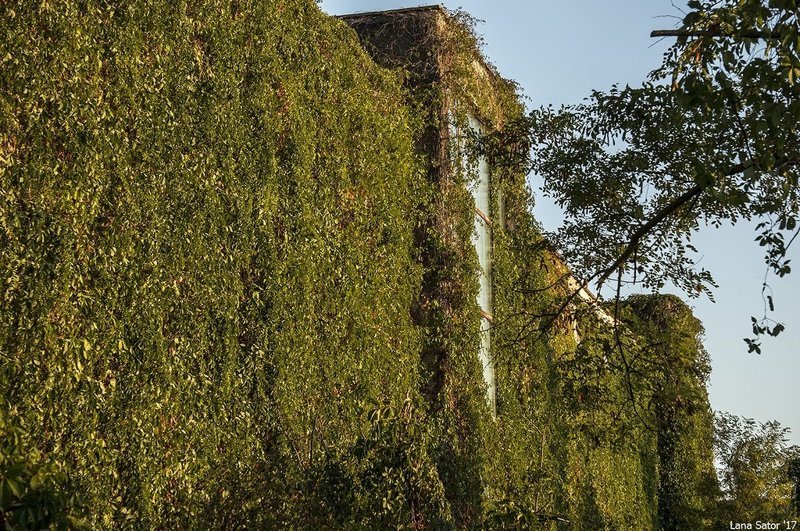 Заросший пионерский лагерь в Крыму Заросший пионерский лагерь в Крыму самостоятельные путешествия,туризм