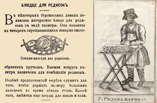 История фото: редька «Мюнхенское пиво» История фото: редька «Мюнхенское пиво»