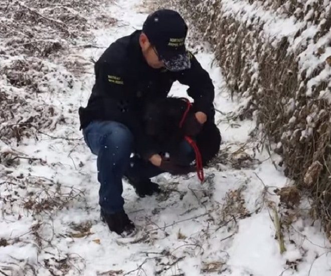 Парень и собака 