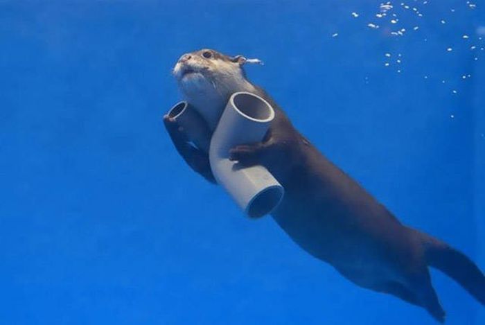 Подборка картинок. Вечерний выпуск (50 фото)