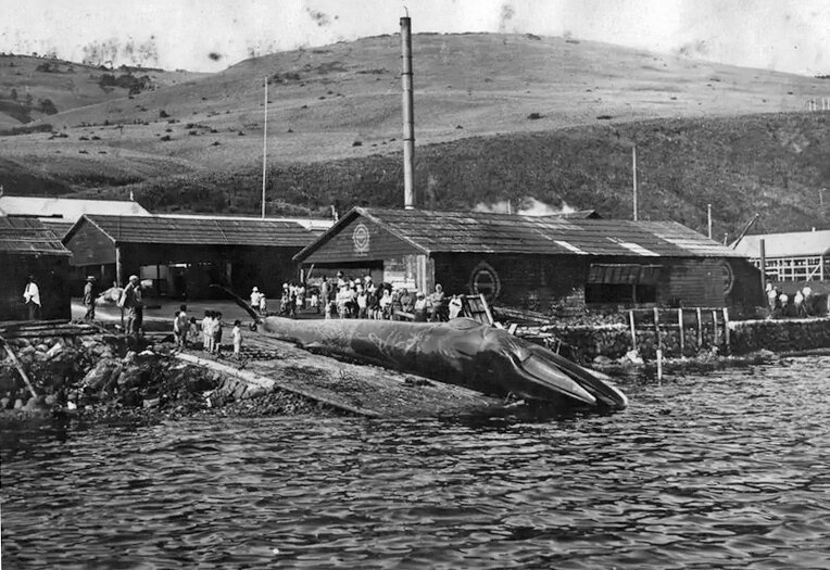 Шикотан. Малокурильское и Крабозаводское. Самые дальние селения России 